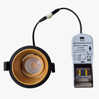 Recessed Adjustable Spotlight