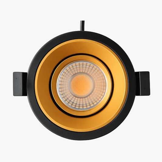 Recessed Adjustable Spotlight